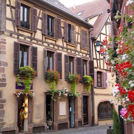 Charmant Appartement Alsacien Ribeauvillé Exteriör bild