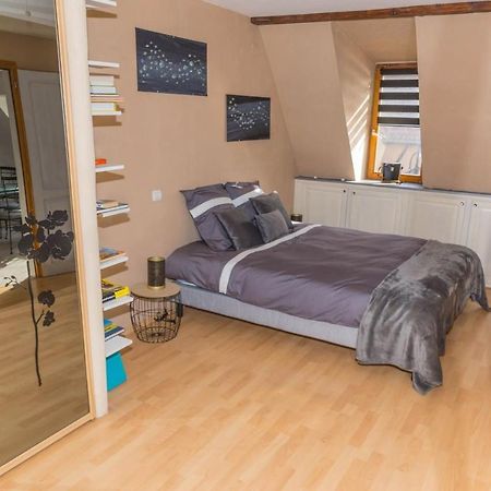Charmant Appartement Alsacien Ribeauvillé Exteriör bild
