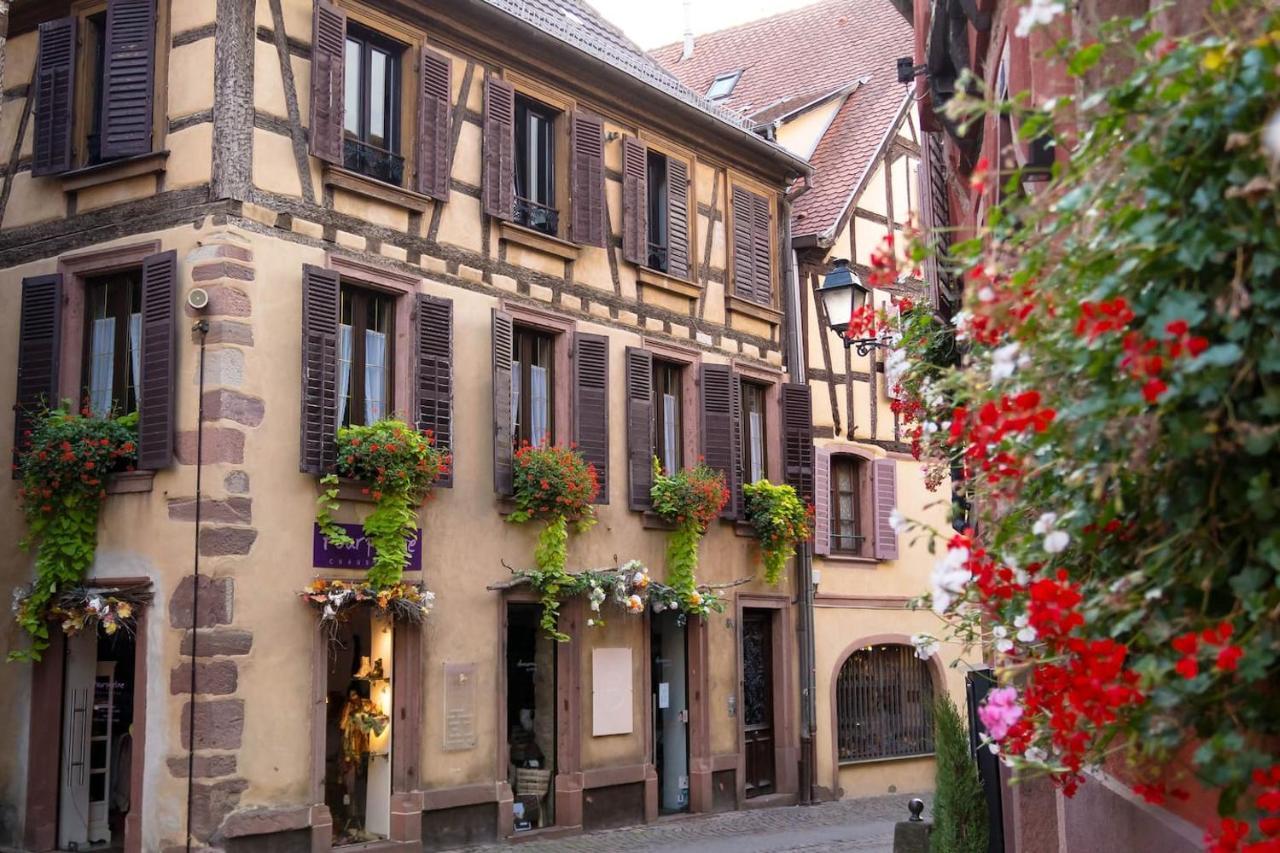 Charmant Appartement Alsacien Ribeauvillé Exteriör bild