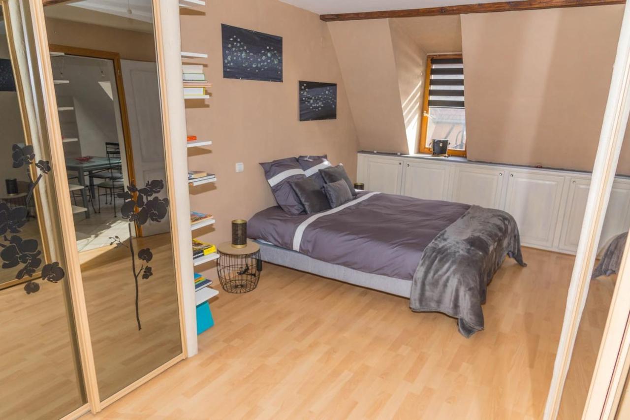 Charmant Appartement Alsacien Ribeauvillé Exteriör bild