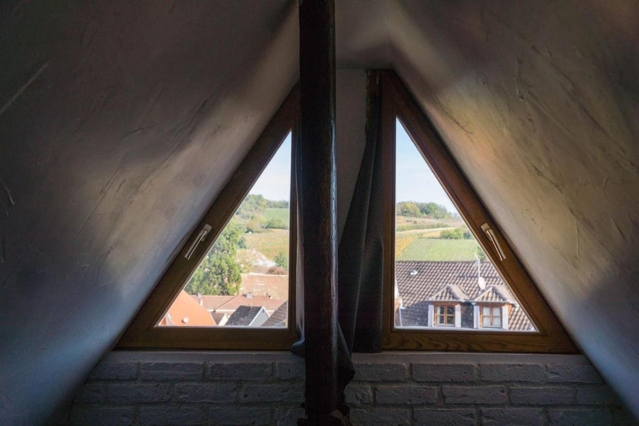 Charmant Appartement Alsacien Ribeauvillé Exteriör bild