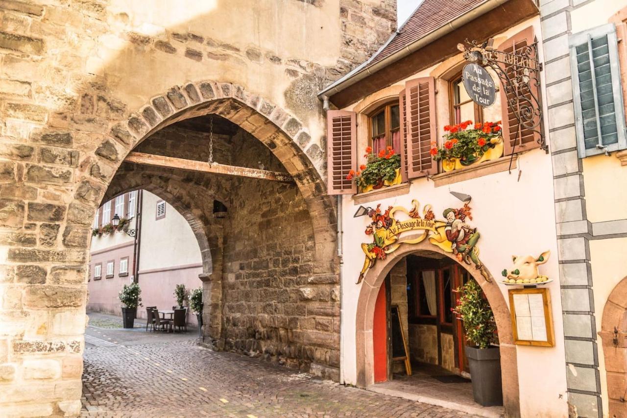 Charmant Appartement Alsacien Ribeauvillé Exteriör bild