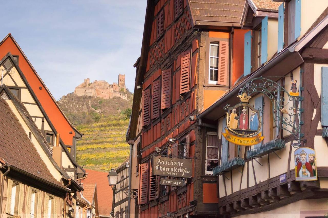 Charmant Appartement Alsacien Ribeauvillé Exteriör bild