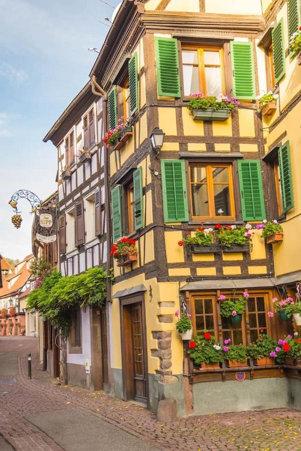 Charmant Appartement Alsacien Ribeauvillé Exteriör bild
