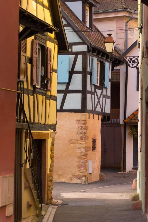Charmant Appartement Alsacien Ribeauvillé Exteriör bild