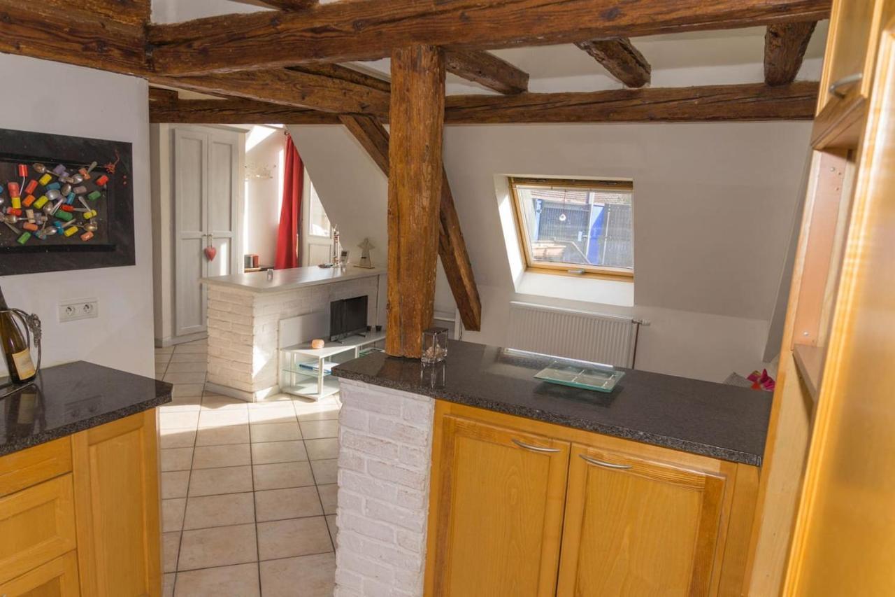 Charmant Appartement Alsacien Ribeauvillé Exteriör bild