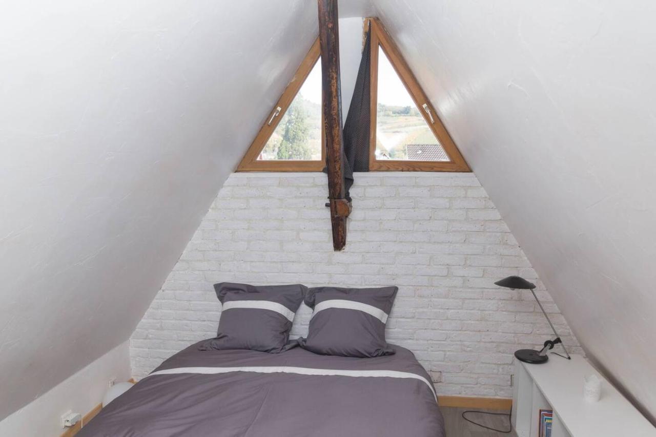 Charmant Appartement Alsacien Ribeauvillé Exteriör bild